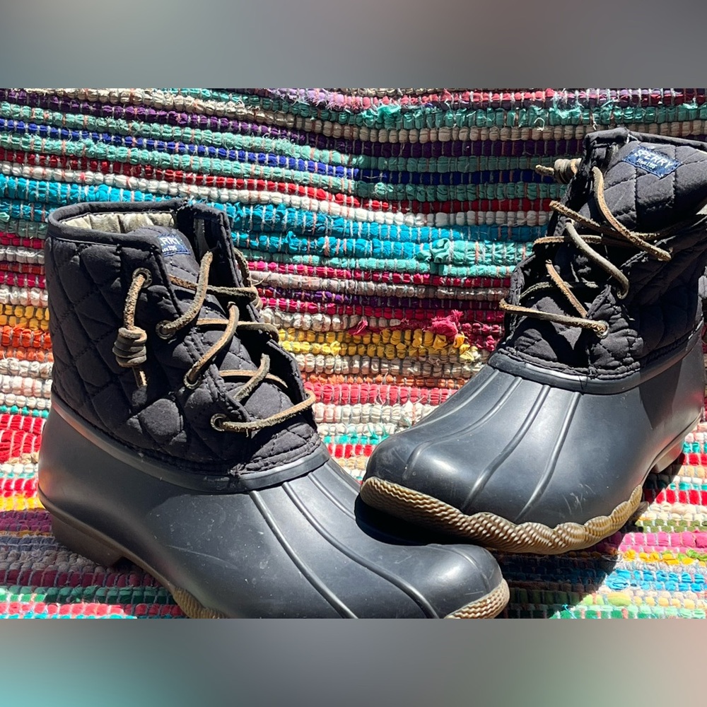 Sperry Boots